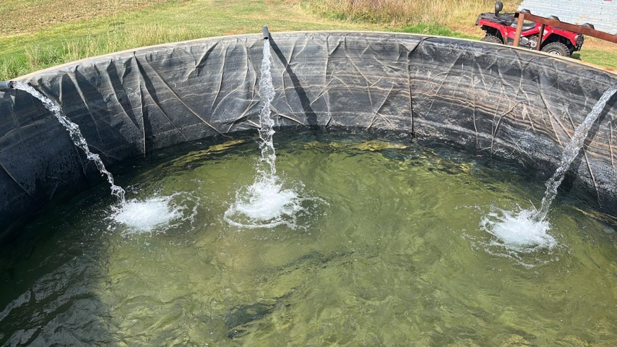 Commercial Property for Sale in Arcadia SH Free State